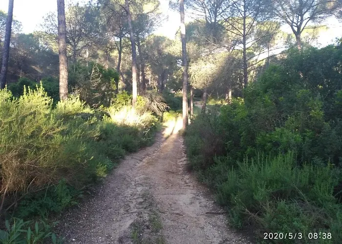 Casa Rural Los Pinos