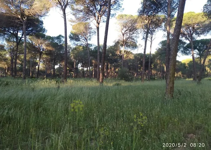 Casa Rural Los Pinos