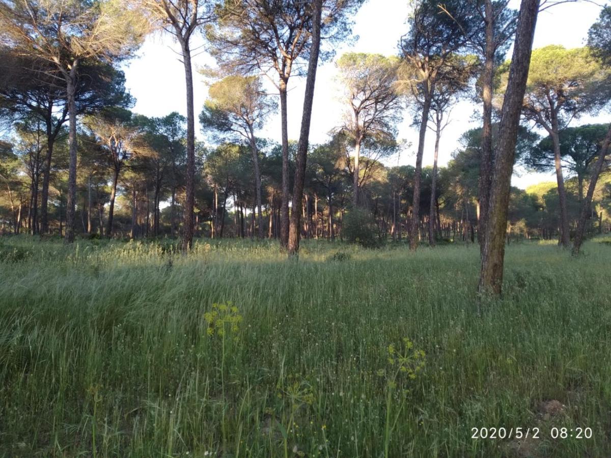 Séjour à la campagne Pinos