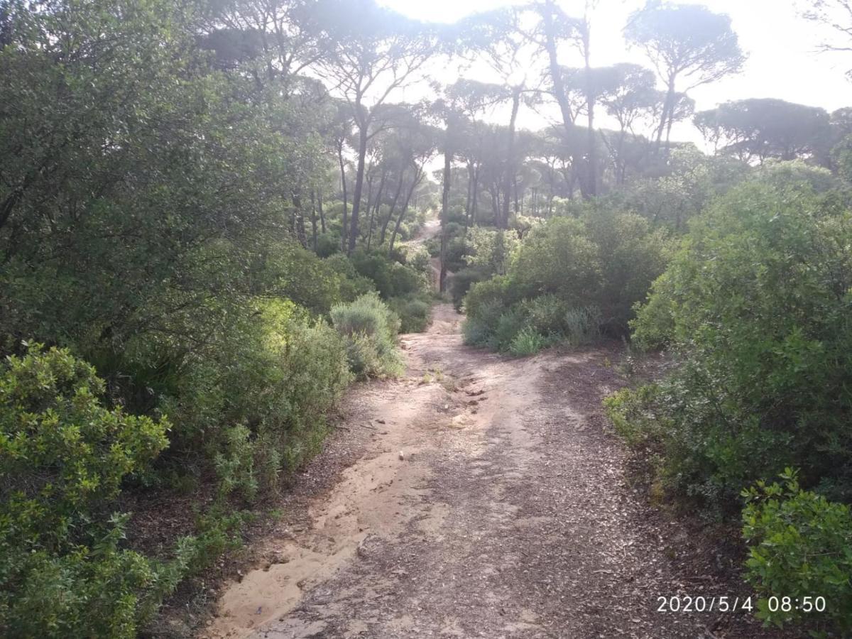 Pinos Séjour à la campagne *