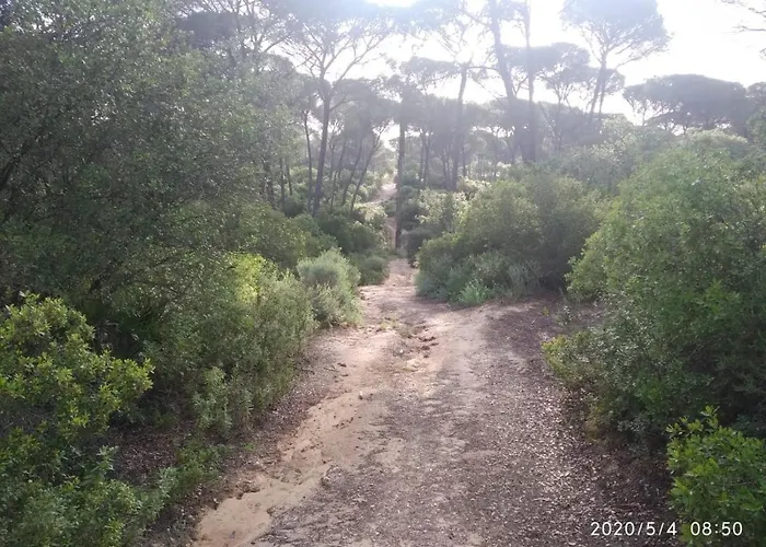 Casa Rural Los Pinos