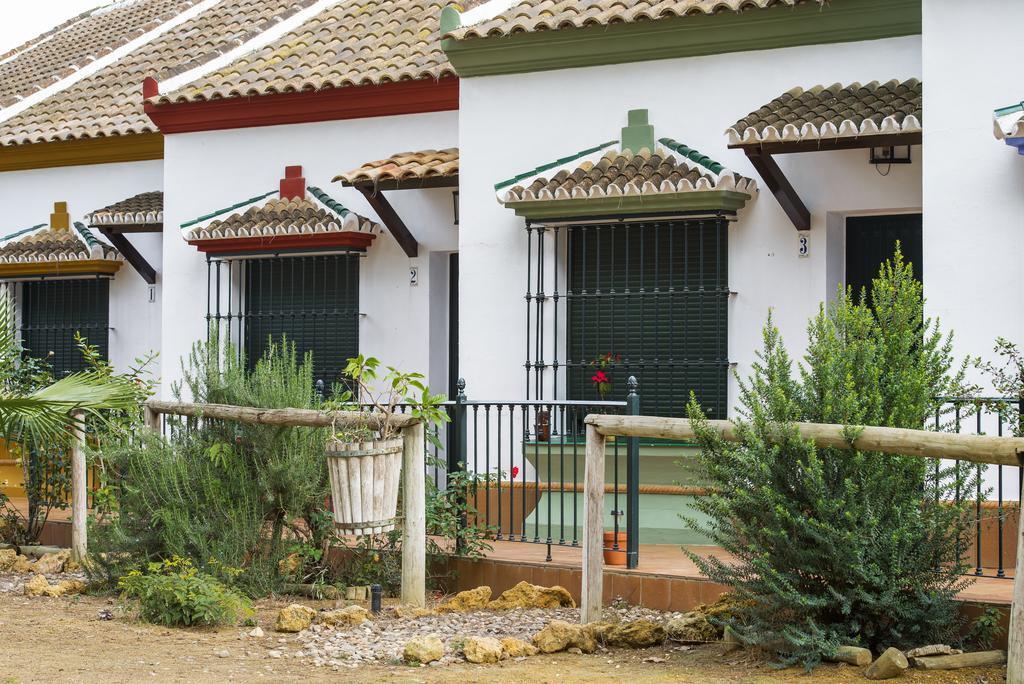 Pinos Casa de Campo Hinojos
