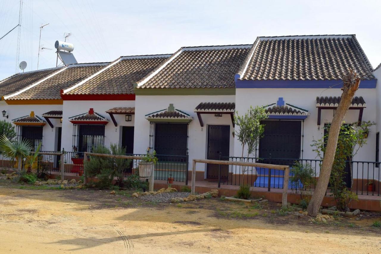 Pinos Casa de Campo Hinojos